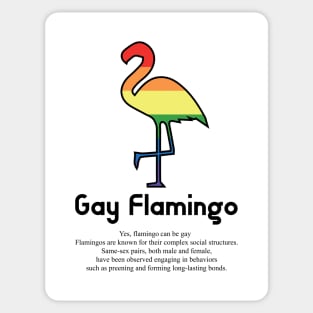 Gay Flamingo G5b - Can animals be gay series - meme gift t-shirt Sticker